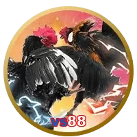 vs88